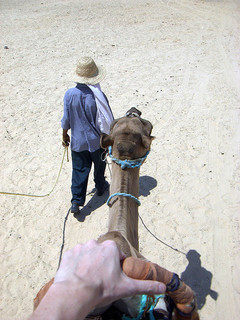 Sahara Kamelreiten Tunesien
