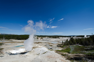 Geysir Basin Yellowstone